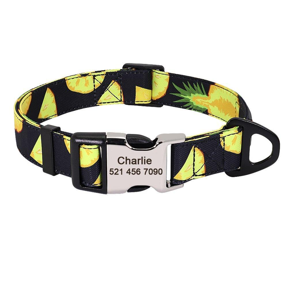 Watermelon Sugar Collar Sets - Lovepawz