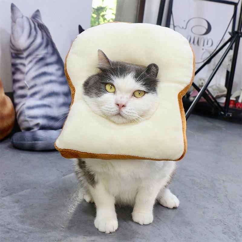 Cat Toasted Head Costume - Lovepawz