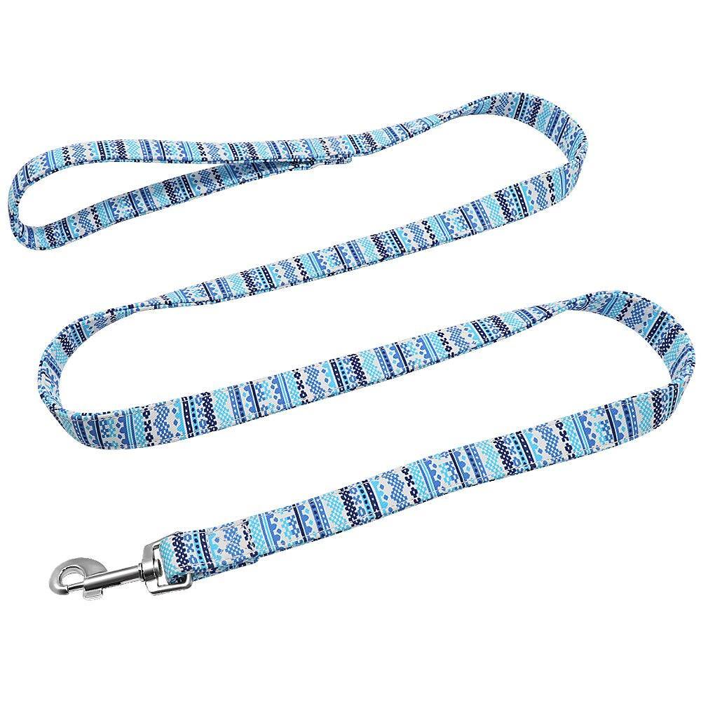 Graffiti Leash - Lovepawz