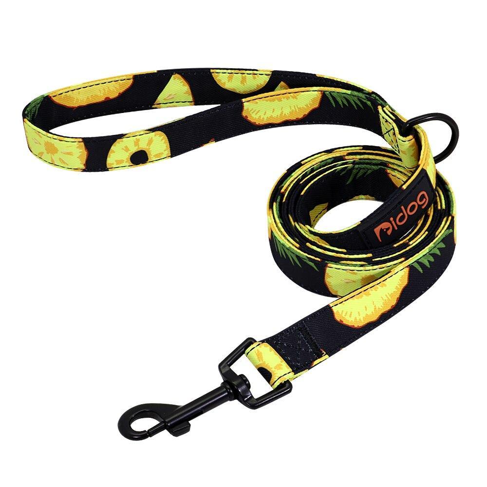 Watermelon Sugar Collar Sets - Lovepawz