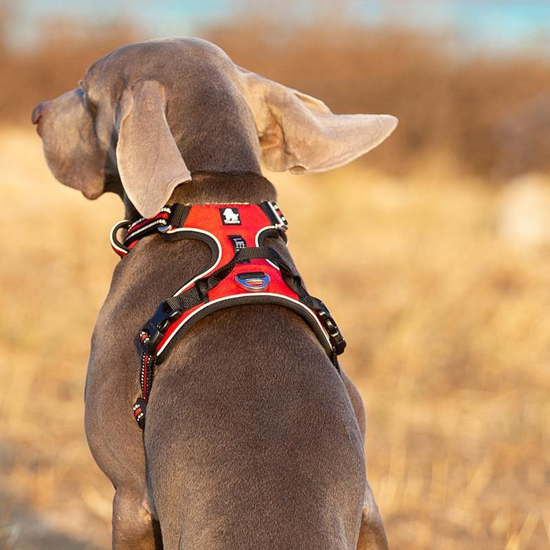 Ultimate TrueLove Reflective Adjustable Harness - Lovepawz