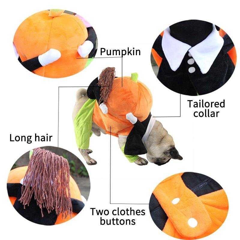 Cute Halloween Cat Funny Pumpkin Pet Costume - Lovepawz