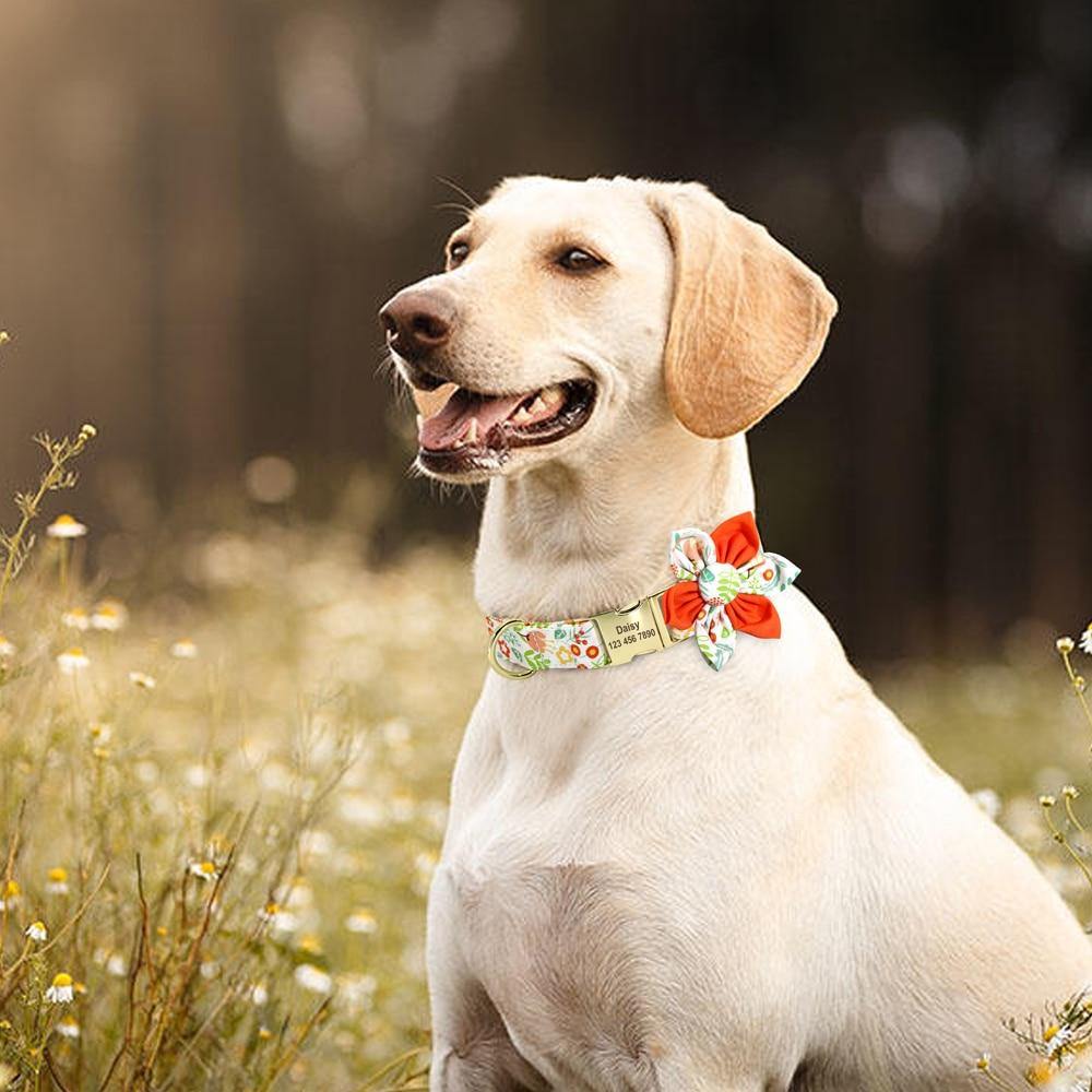 FlowerBow Personalized Collar - Lovepawz