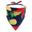 Summer Fruit Bandanas - Lovepawz