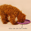 Dog Chew Frisbee - Lovepawz