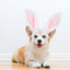 Dog Bunny Ears Easter Puppy Costume - Lovepawz