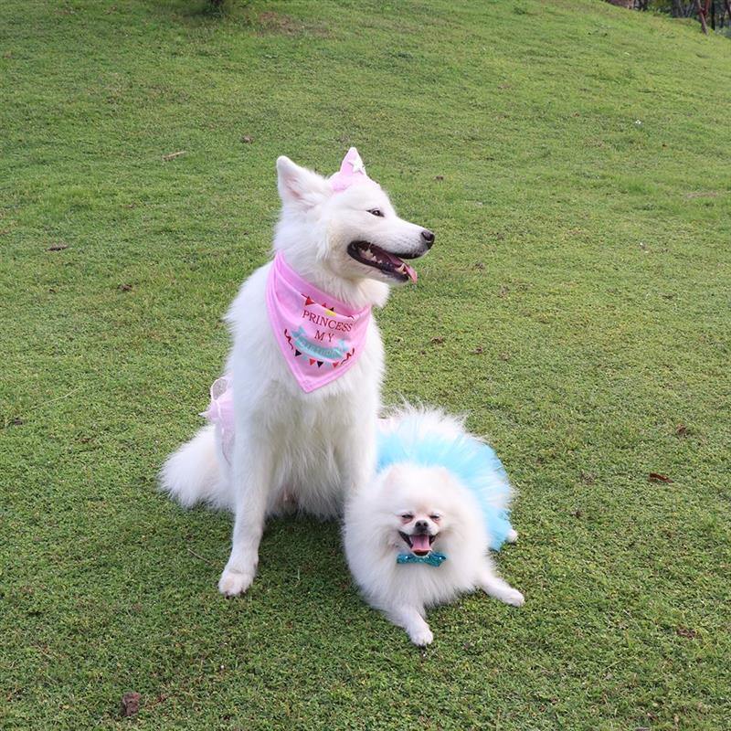 "Happy Birthday" Bandanas - Lovepawz