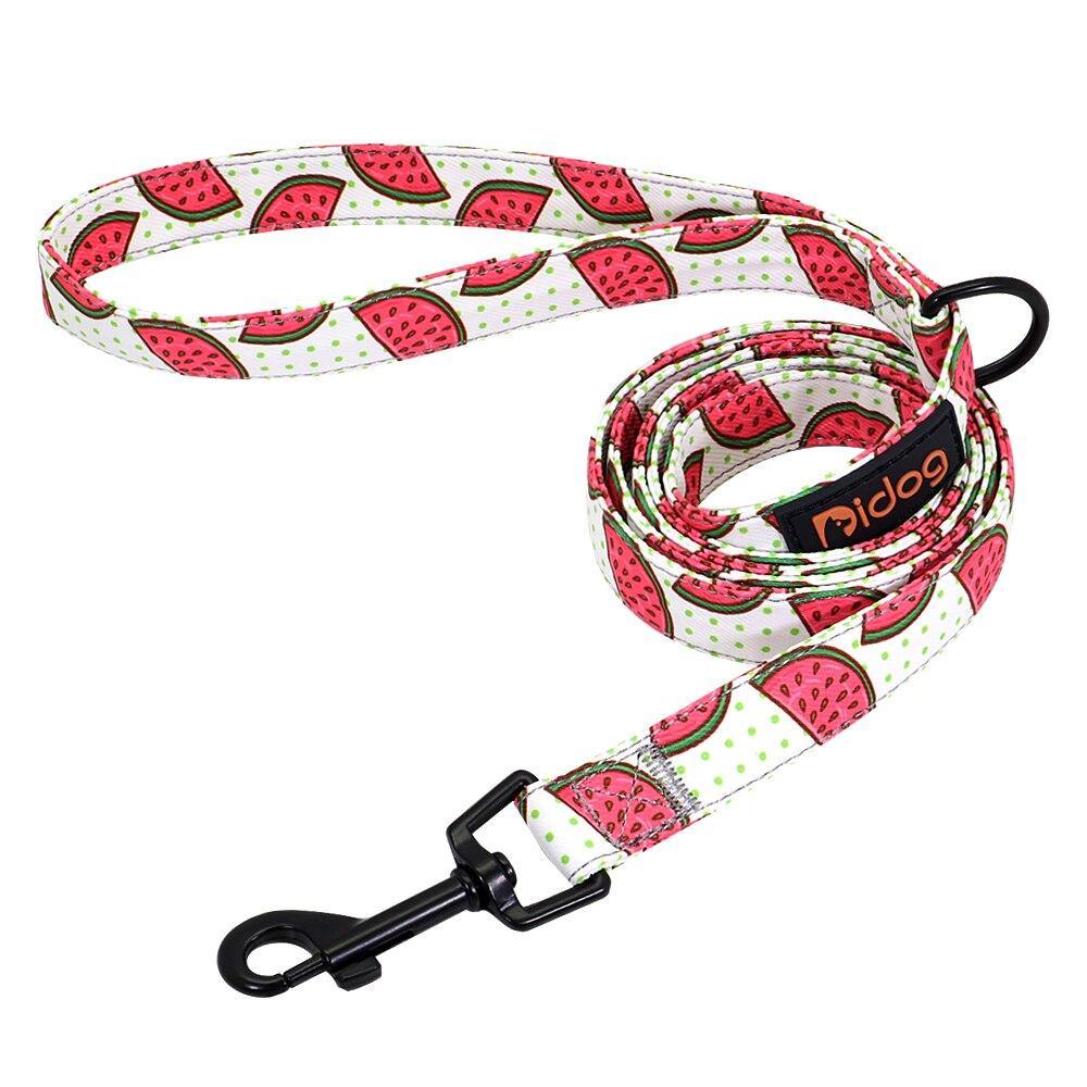 Watermelon Sugar Collar Sets - Lovepawz
