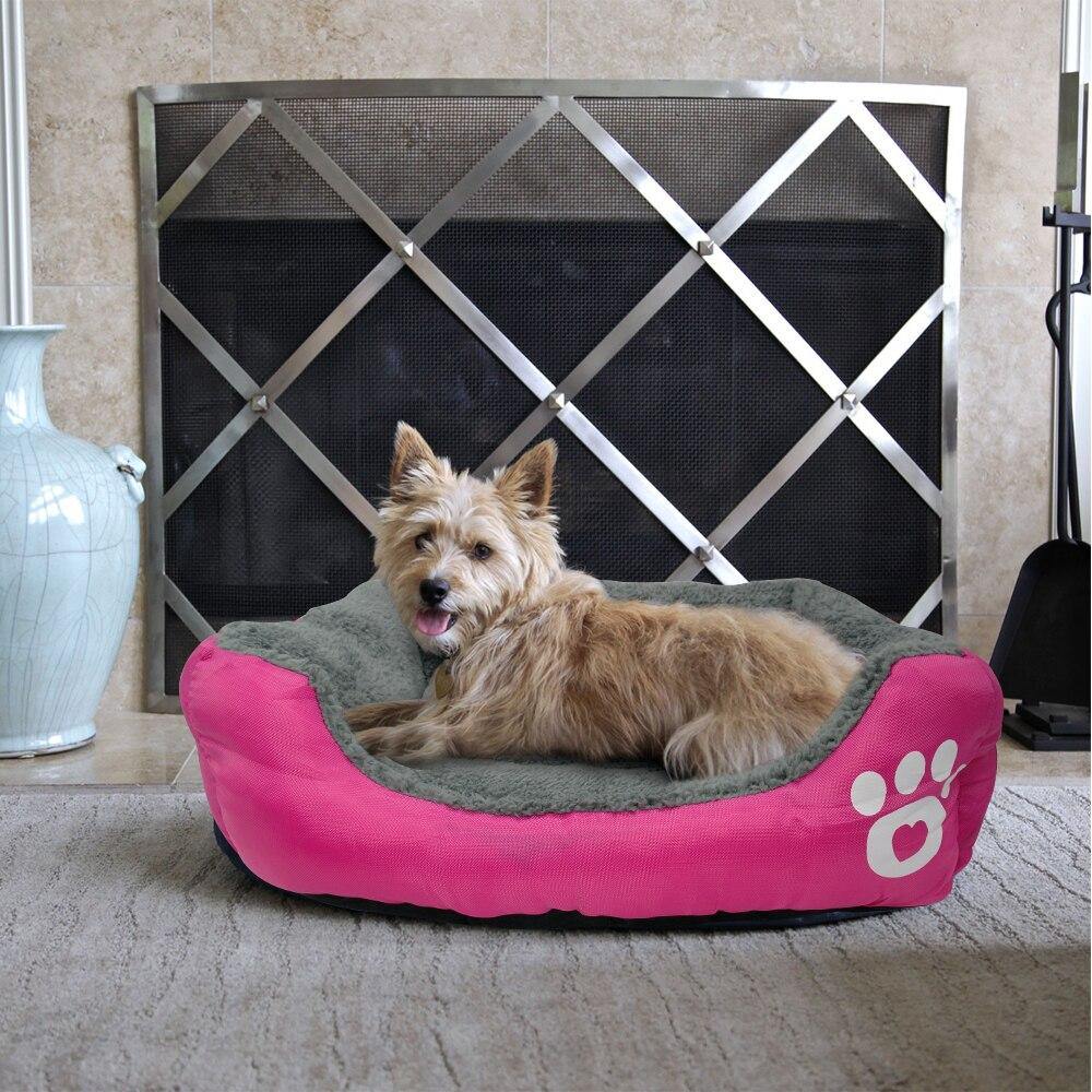 The Sofa Paw - Lovepawz