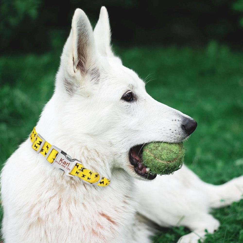 Lighting Bolter Collar - Lovepawz