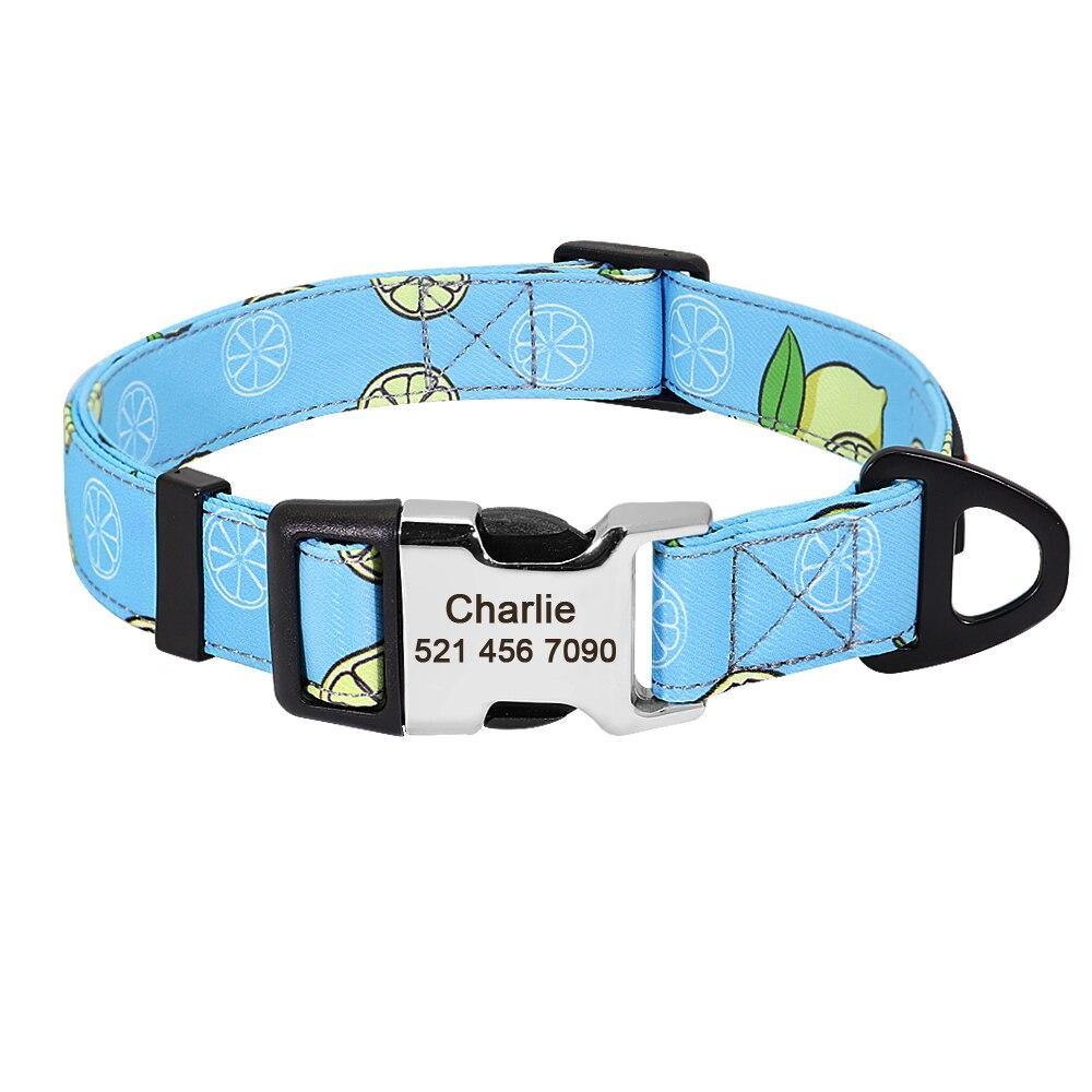 Watermelon Sugar Collar Sets - Lovepawz