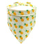 Summer Fruit Bandanas - Lovepawz