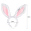 Dog Bunny Ears Easter Puppy Costume - Lovepawz