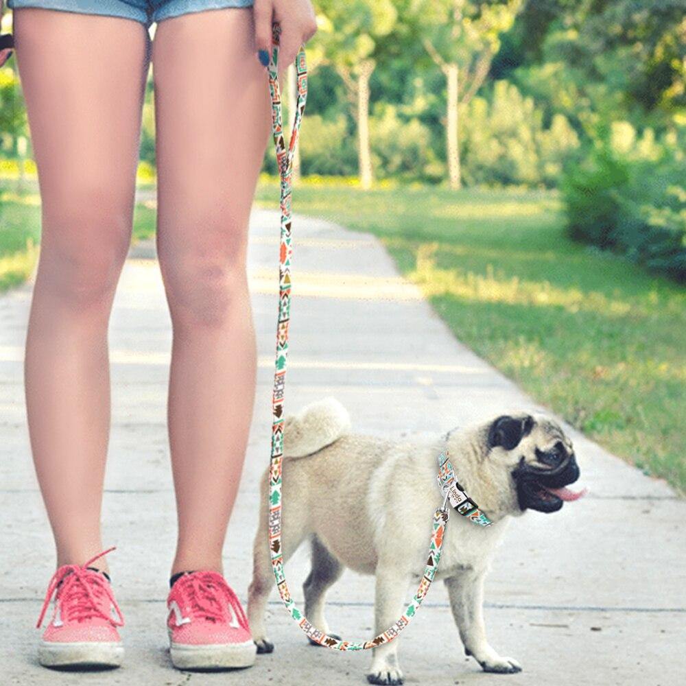 Fall Leash - Lovepawz