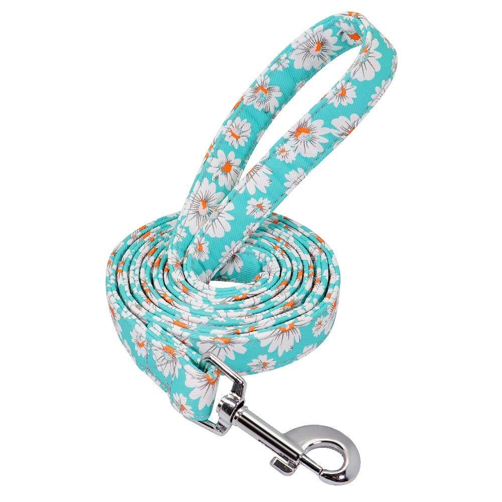 Petsense Leash - Lovepawz