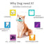 Sticker Chew Dog Toothbrush - Lovepawz