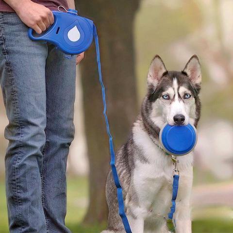 3In1 Super Nylon Dog Leash - Lovepawz