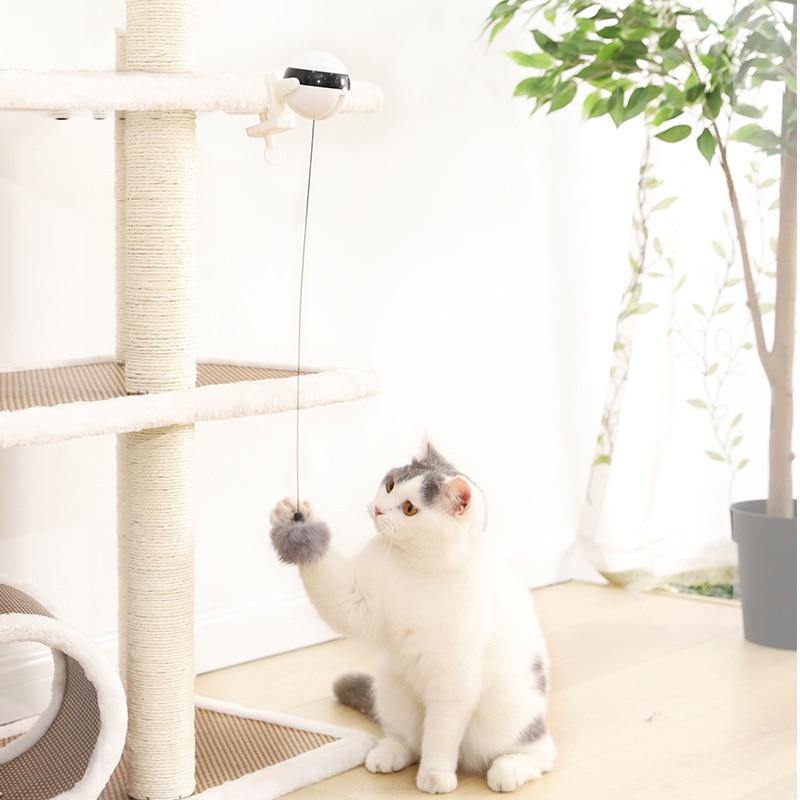 Lifting Cat Ball Interactive Automatic Ball Teaser Toy - Lovepawz