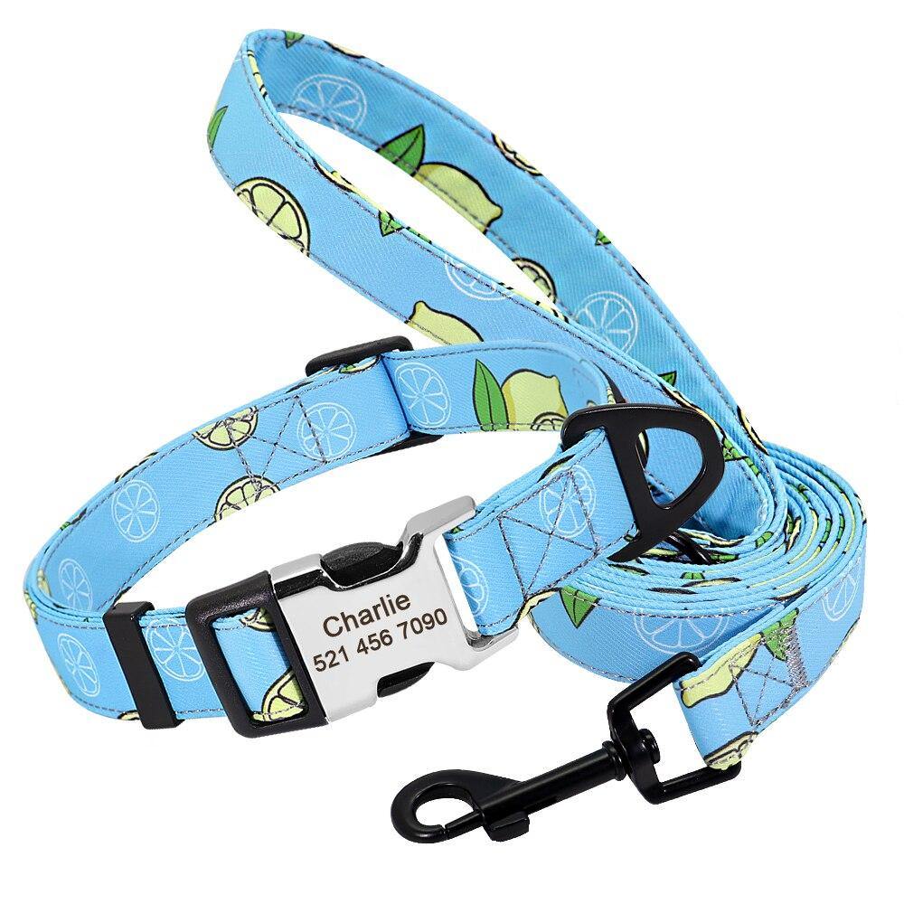 Watermelon Sugar Collar Sets - Lovepawz