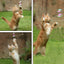 SmartyKat® Liquid Catnip Bubbles - Lovepawz
