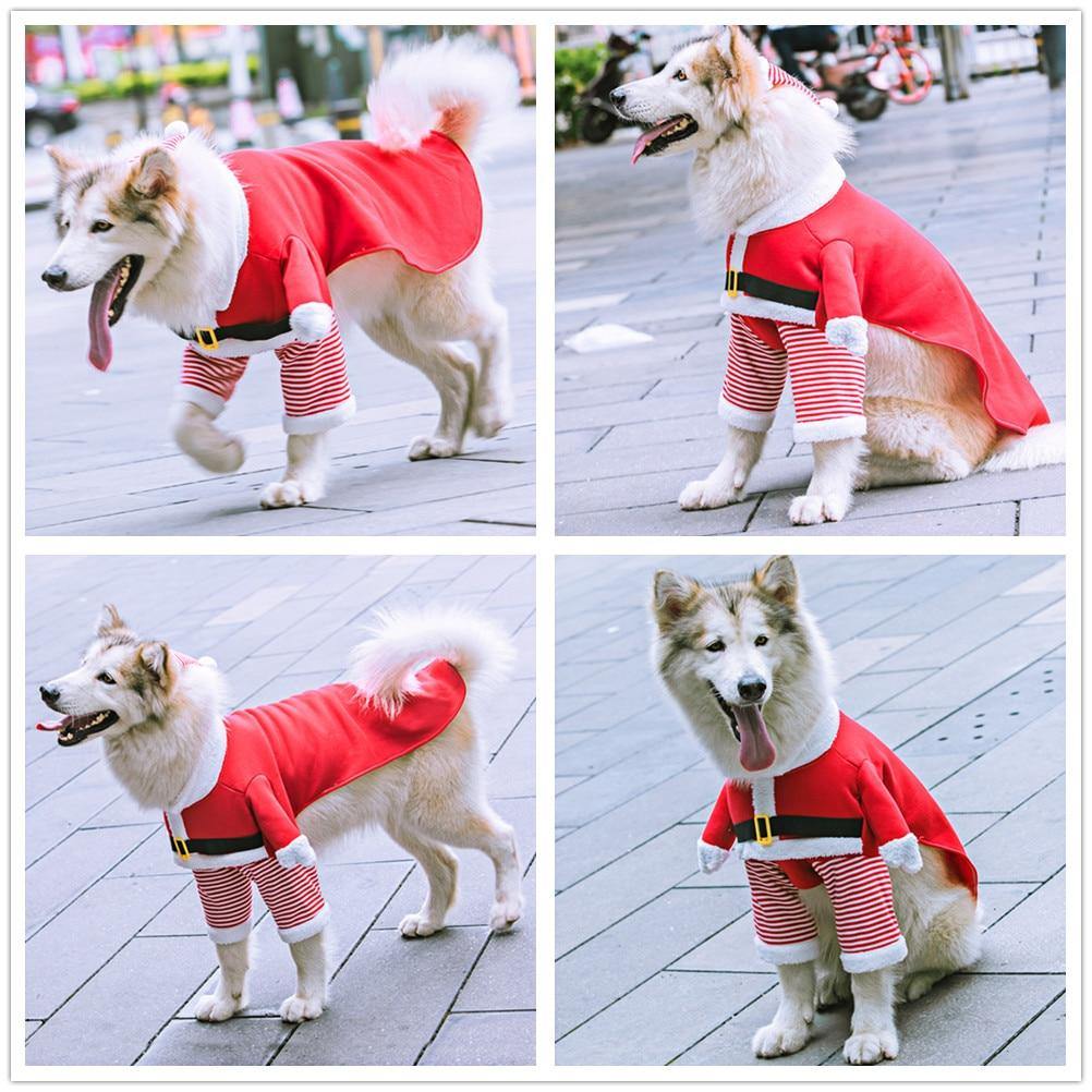 Santa Me Costume - Lovepawz