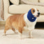 Warm Dog Neck Scarf Hoodie Comfort Winter Protection - Lovepawz