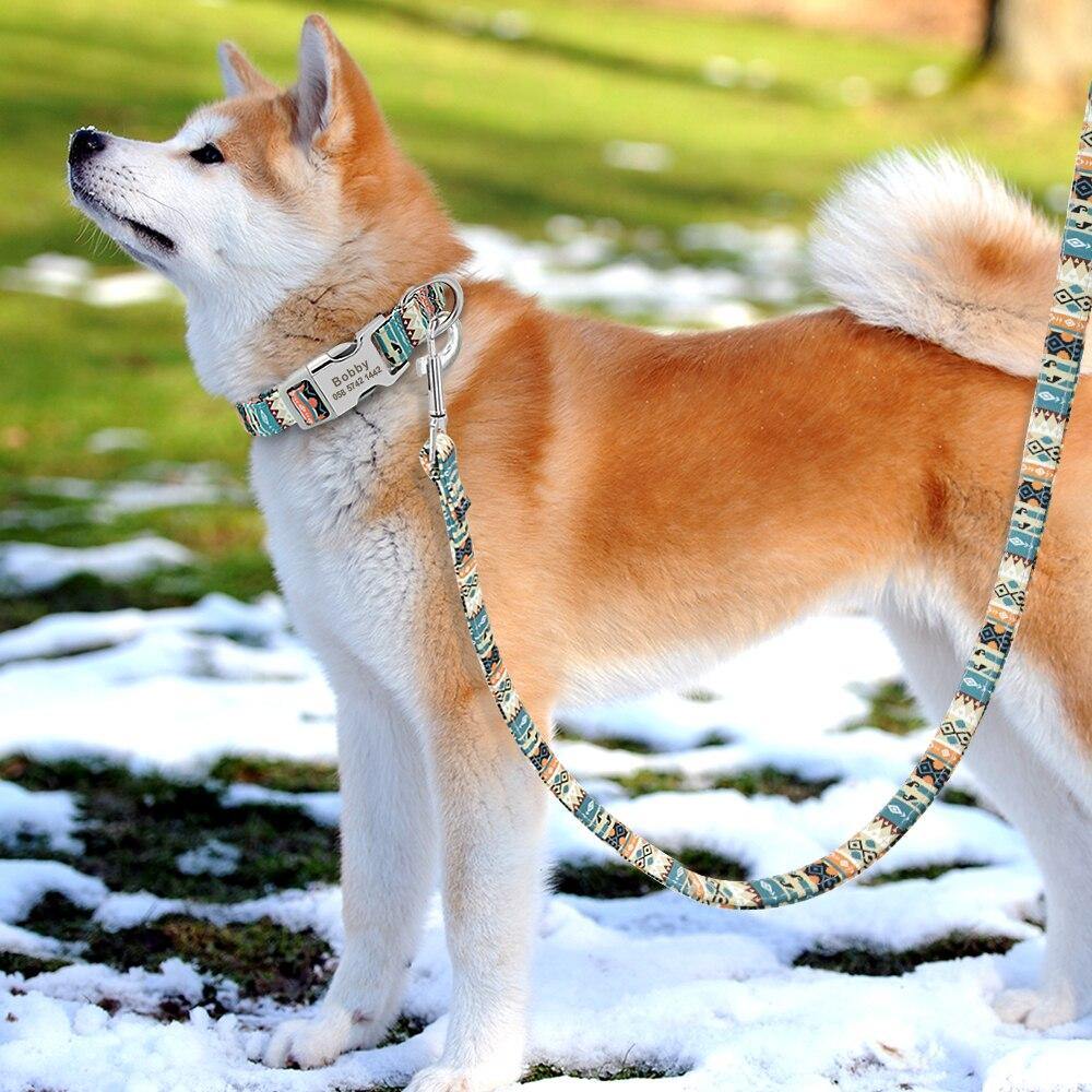 Petsense Leash - Lovepawz