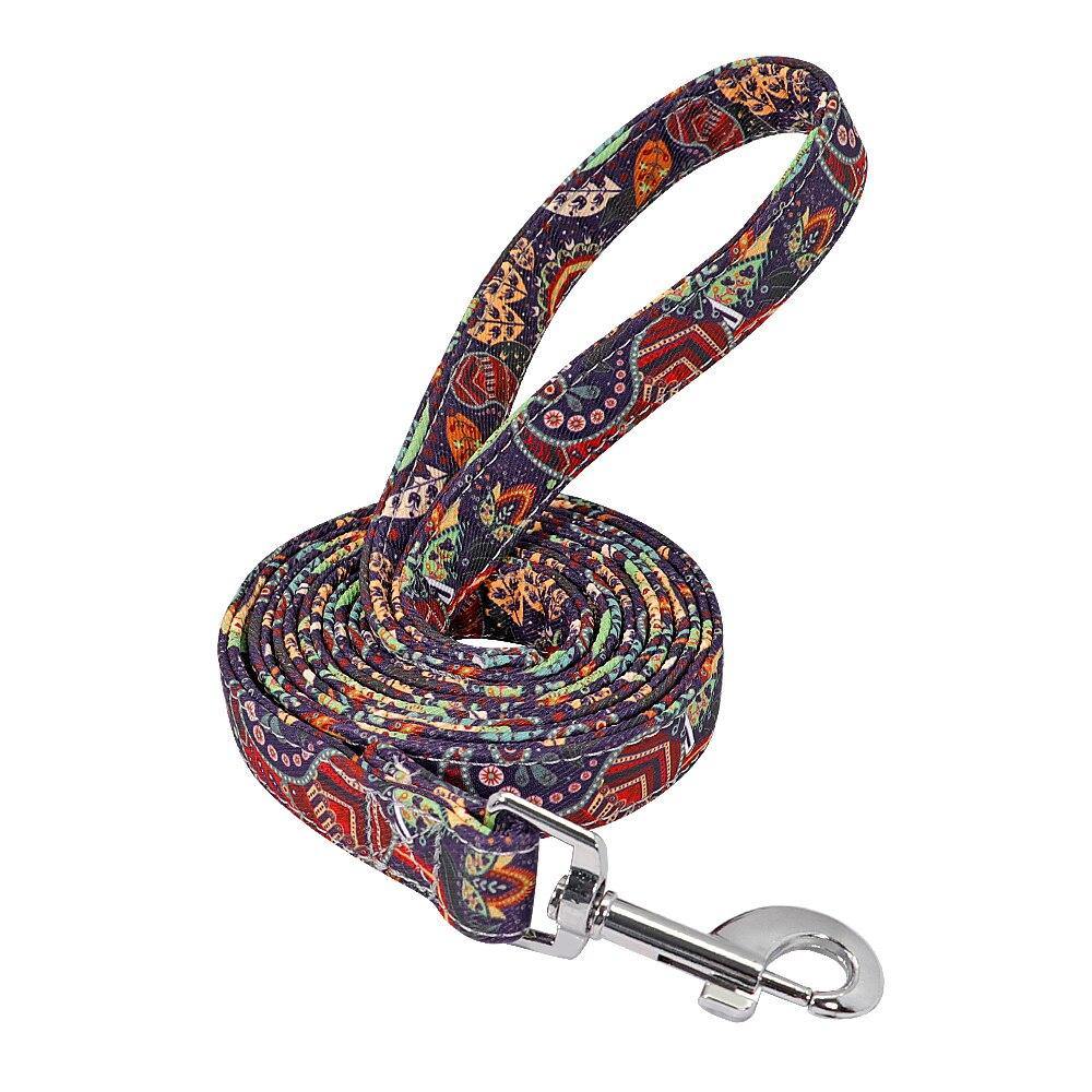 Petsense Leash - Lovepawz