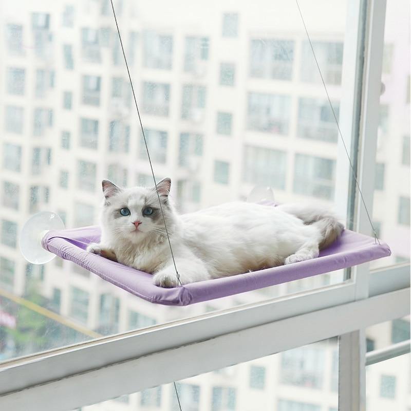 Cat Window Hammock - Lovepawz