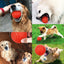 Bite-resistant Rubber Ball - Lovepawz