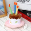 Dog Birthday Candle Hats - Lovepawz