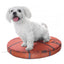 Basketball Shaped Dog Mat Cushion Bed - Lovepawz