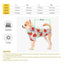 Dog Sun-Proof Clothing Hoodie Poncho - Lovepawz