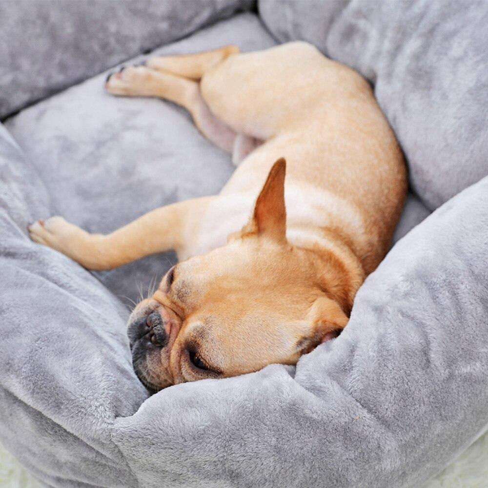 Fleece with Cushion - Lovepawz