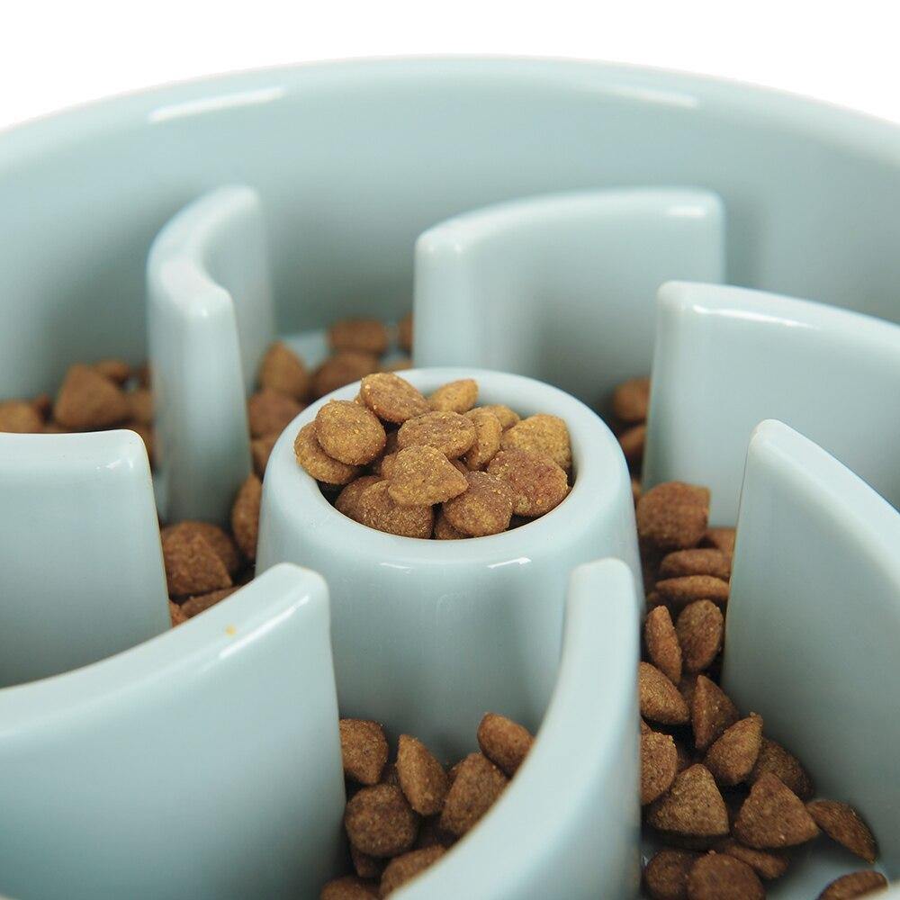 Eating Training Bowl - Lovepawz