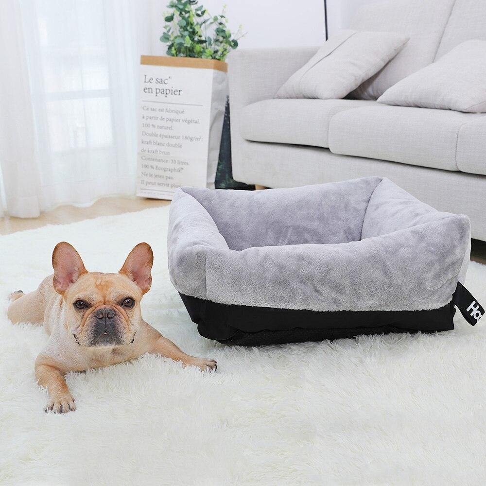 Fleece with Cushion - Lovepawz