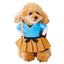 Funny Angry Teacher Cat Costume - Lovepawz