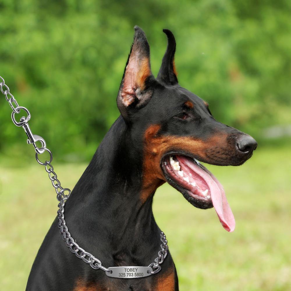 Personalized Chain Slip Collar - Lovepawz
