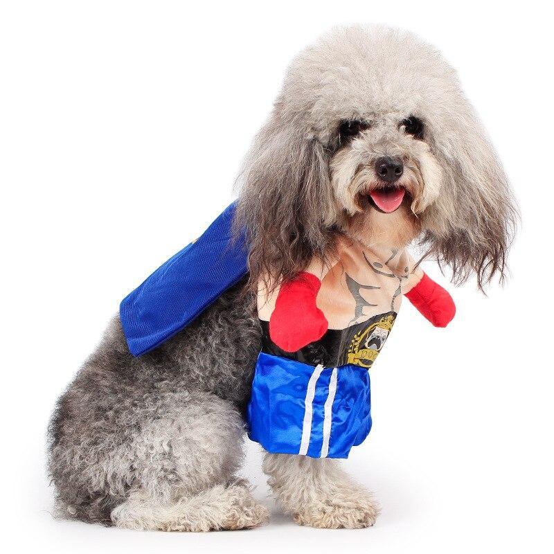 Funny Dog Boxer Costume - Lovepawz