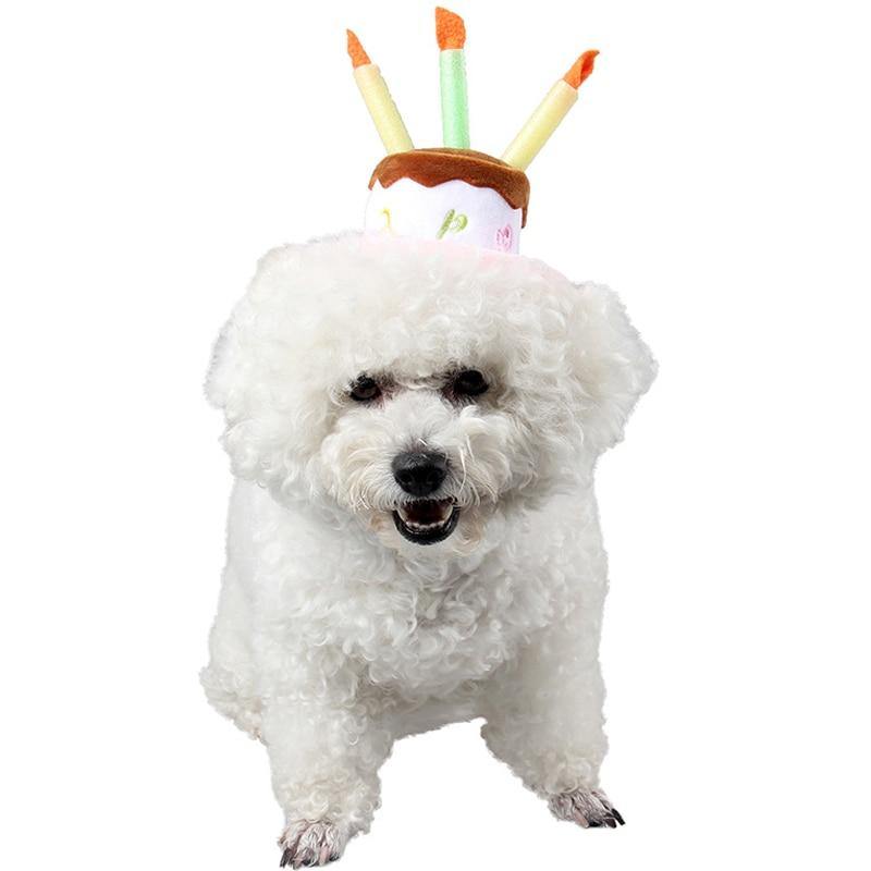 Dog Birthday Candle Hats - Lovepawz