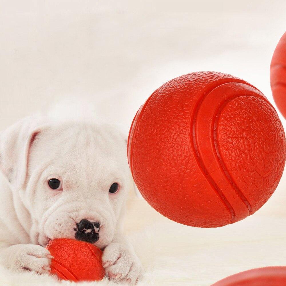 Bite-resistant Rubber Ball - Lovepawz