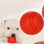 Bite-resistant Rubber Ball - Lovepawz