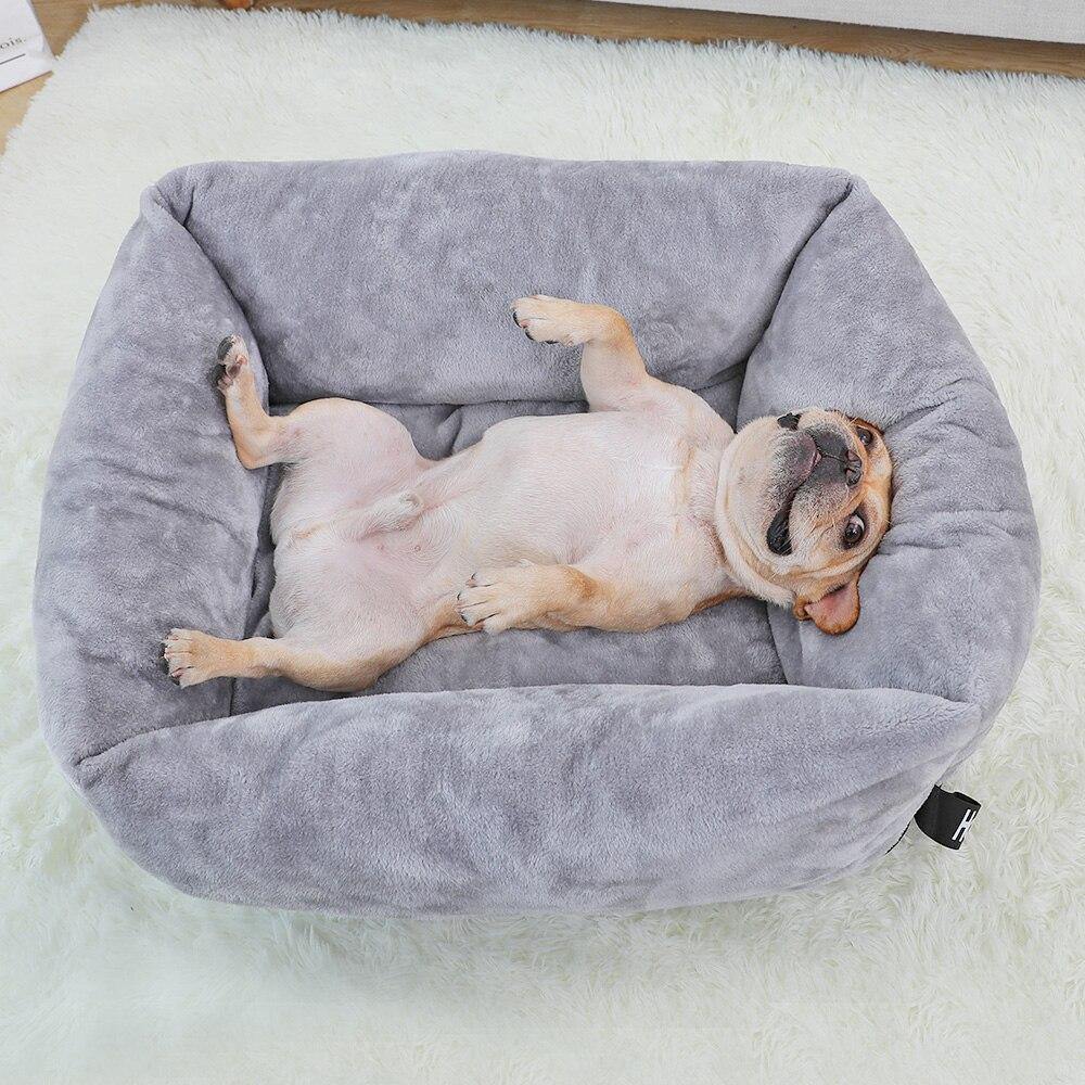 Fleece with Cushion - Lovepawz