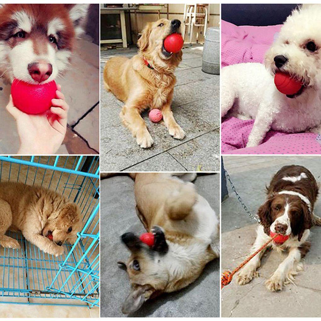 Solid Rubber Training Teeth Ball - Lovepawz