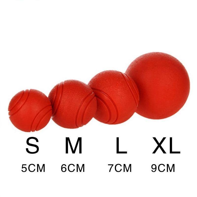 Bite-resistant Rubber Ball - Lovepawz