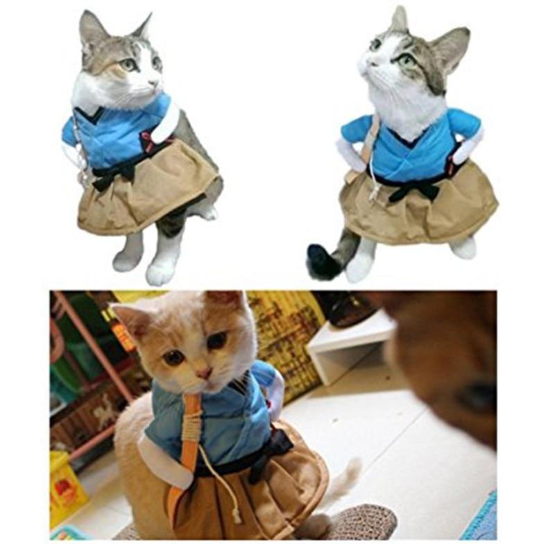 Funny Angry Teacher Cat Costume - Lovepawz