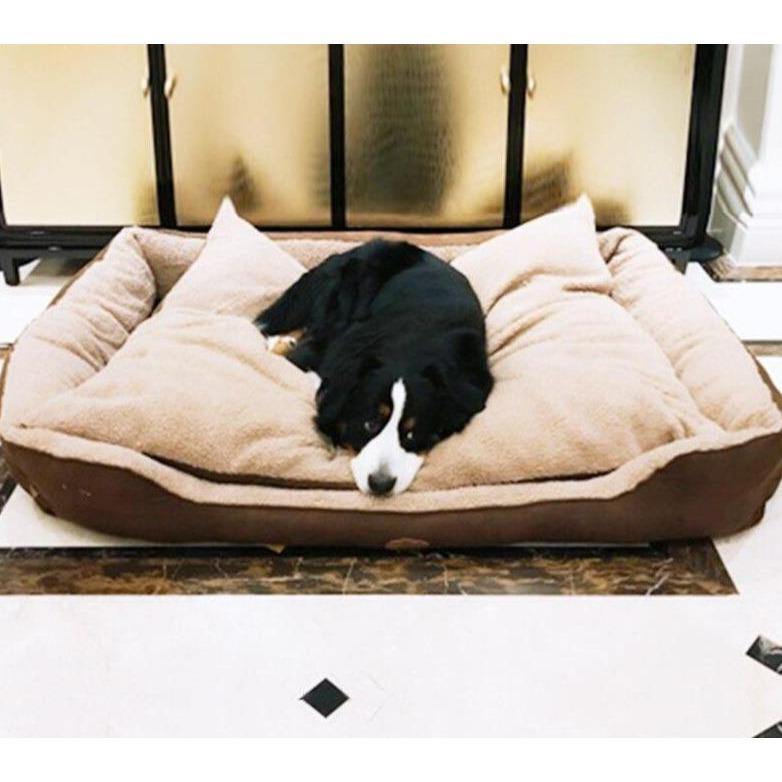 Large Dog Bed - Lovepawz