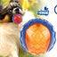 Non-toxic Rubber Outdoor Ball - Lovepawz