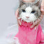 Ultimate Mesh Cat Shower Bag - Lovepawz