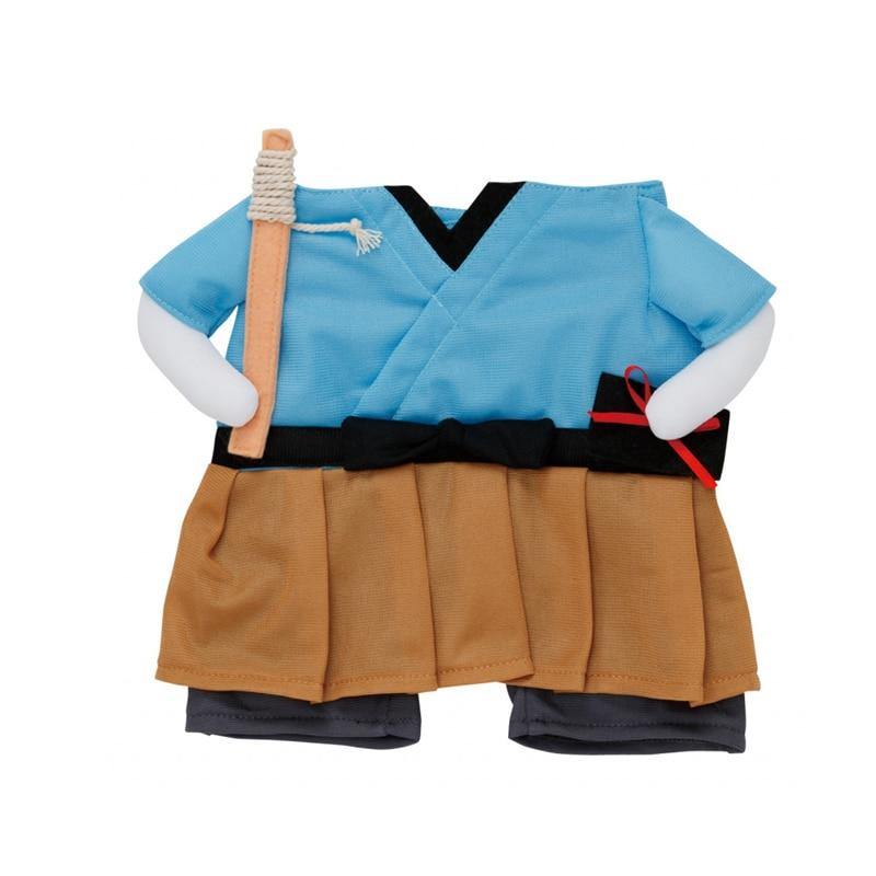 Funny Angry Teacher Cat Costume - Lovepawz